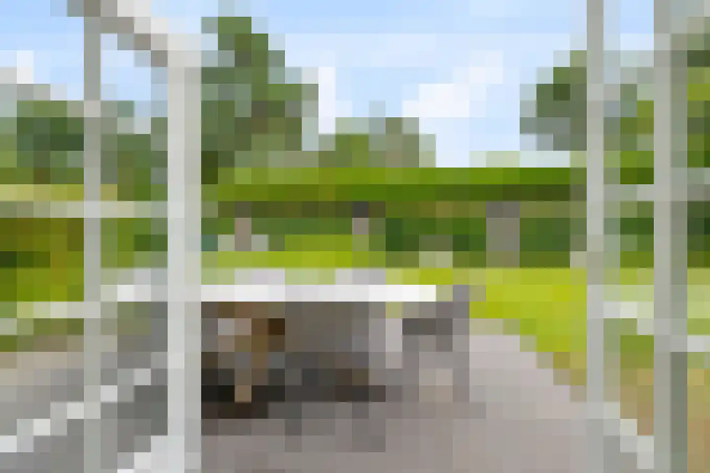Kabeljauwallee 2 A Doorwerth thumbnail 24