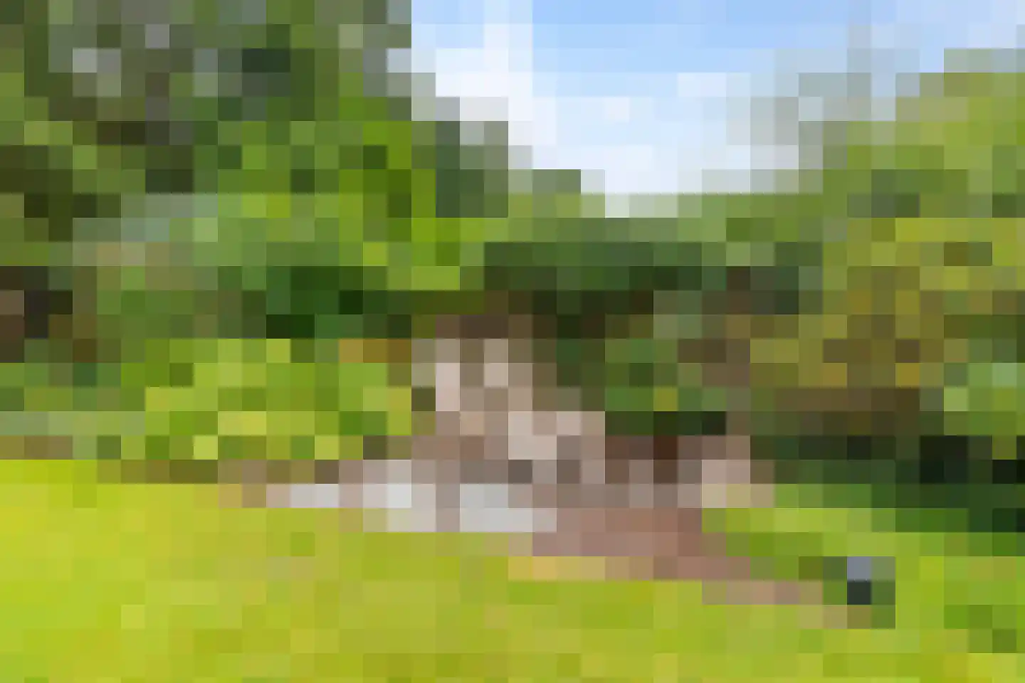 Kabeljauwallee 2 A Doorwerth thumbnail 26