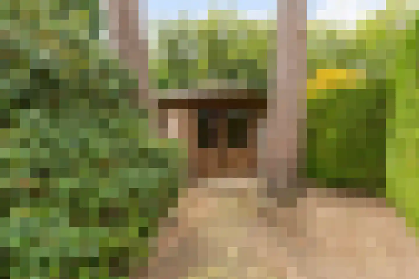 Kabeljauwallee 2 A Doorwerth thumbnail 28