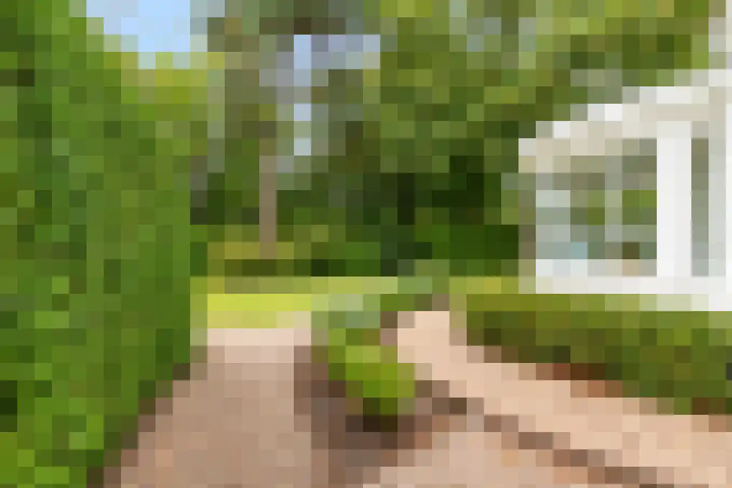 Kabeljauwallee 2 A Doorwerth thumbnail 29