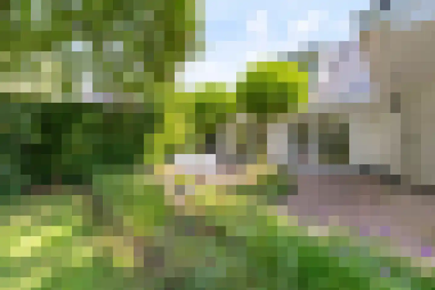 Kabeljauwallee 2 A Doorwerth thumbnail 4
