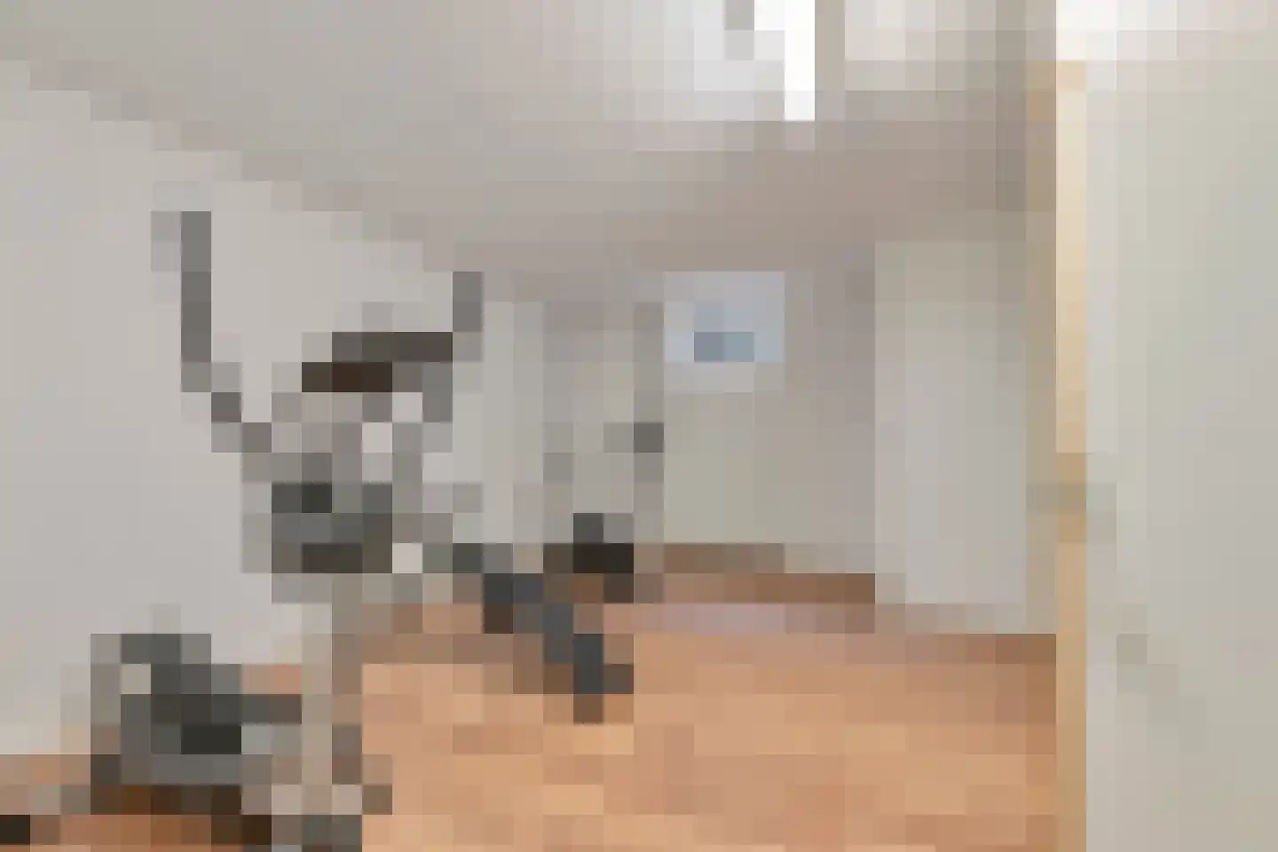 Kabeljauwallee 2 A Doorwerth thumbnail 43