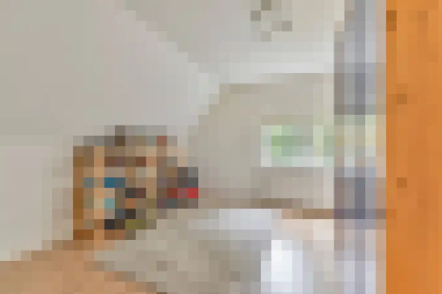 Kabeljauwallee 2 A Doorwerth thumbnail 45