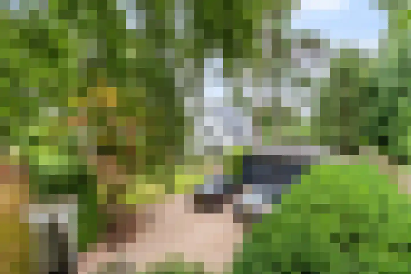 Kabeljauwallee 2 A Doorwerth thumbnail 64