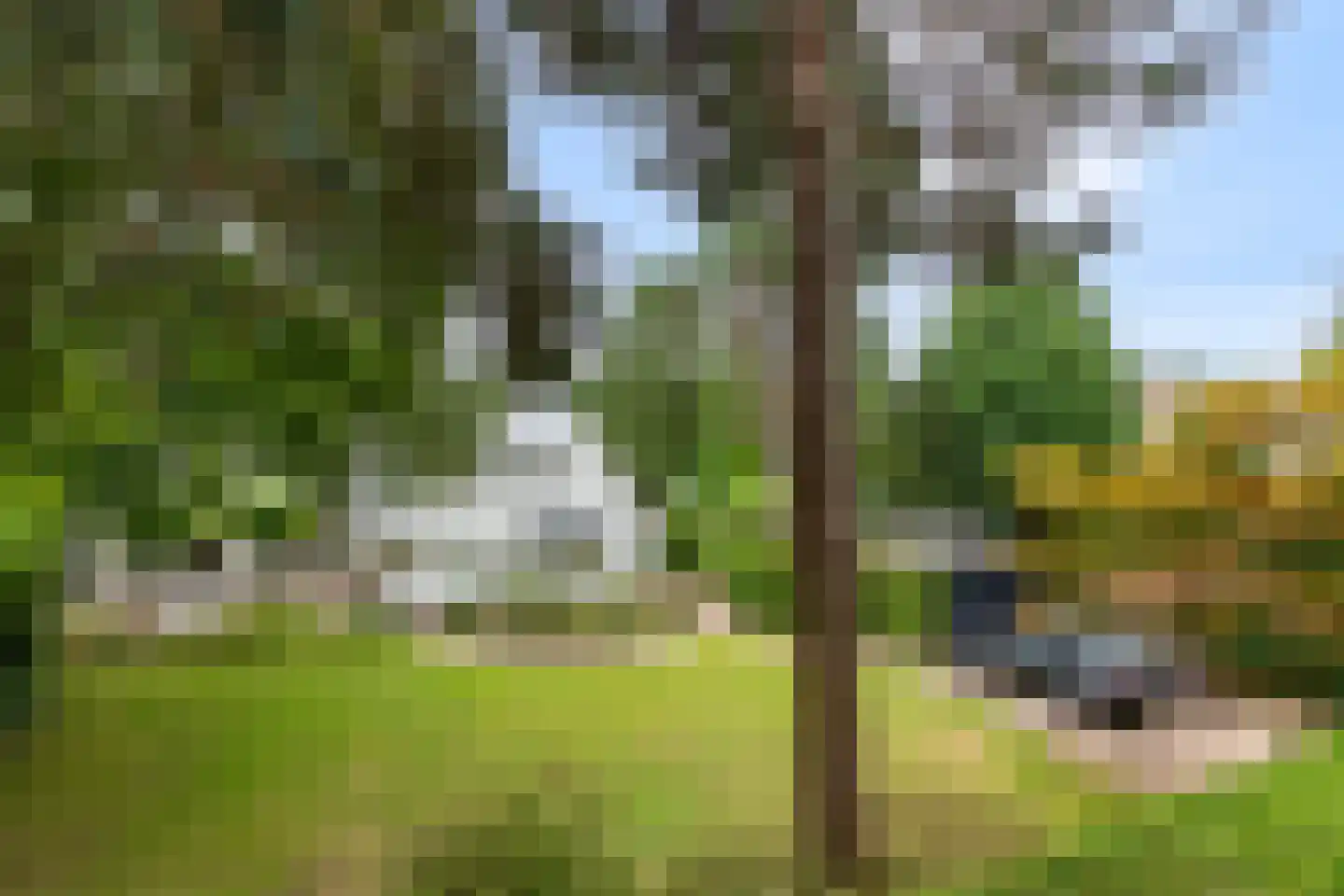 Kabeljauwallee 2 A Doorwerth thumbnail 65