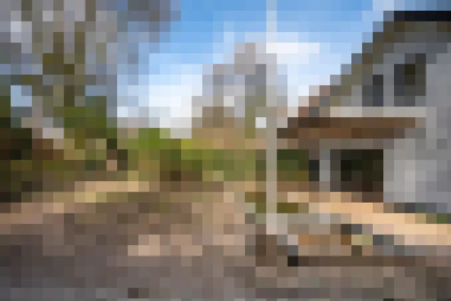 Kabeljauwallee 2 Doorwerth thumbnail 11