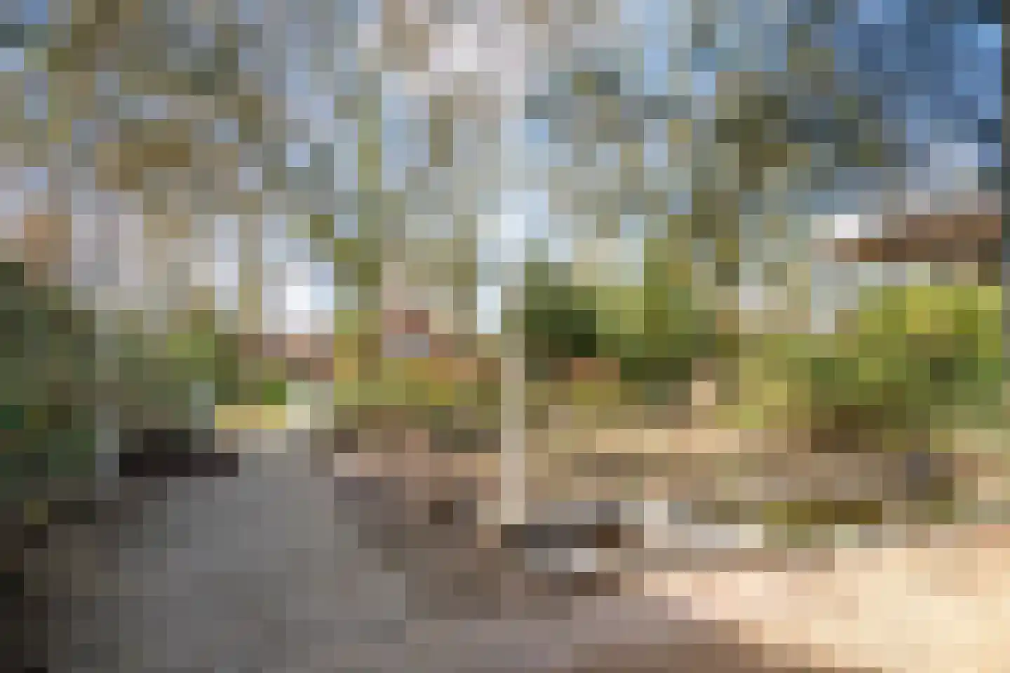 Kabeljauwallee 2 Doorwerth thumbnail 12