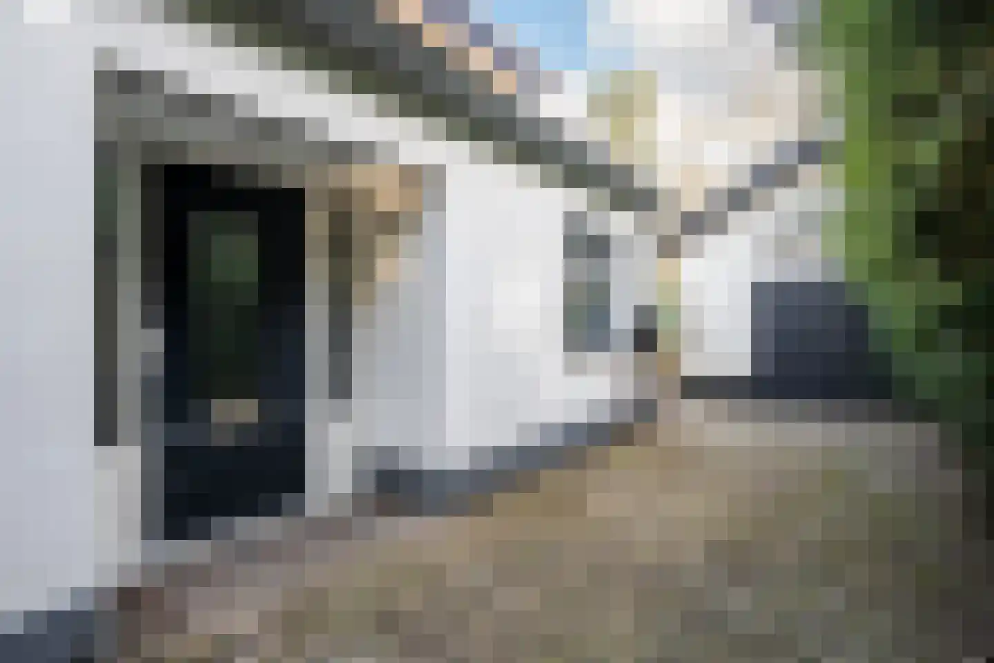 Kabeljauwallee 2 Doorwerth thumbnail 15