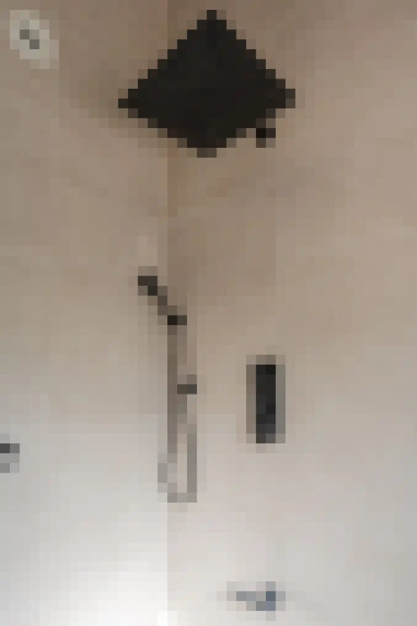 Kabeljauwallee 2 Doorwerth thumbnail 43