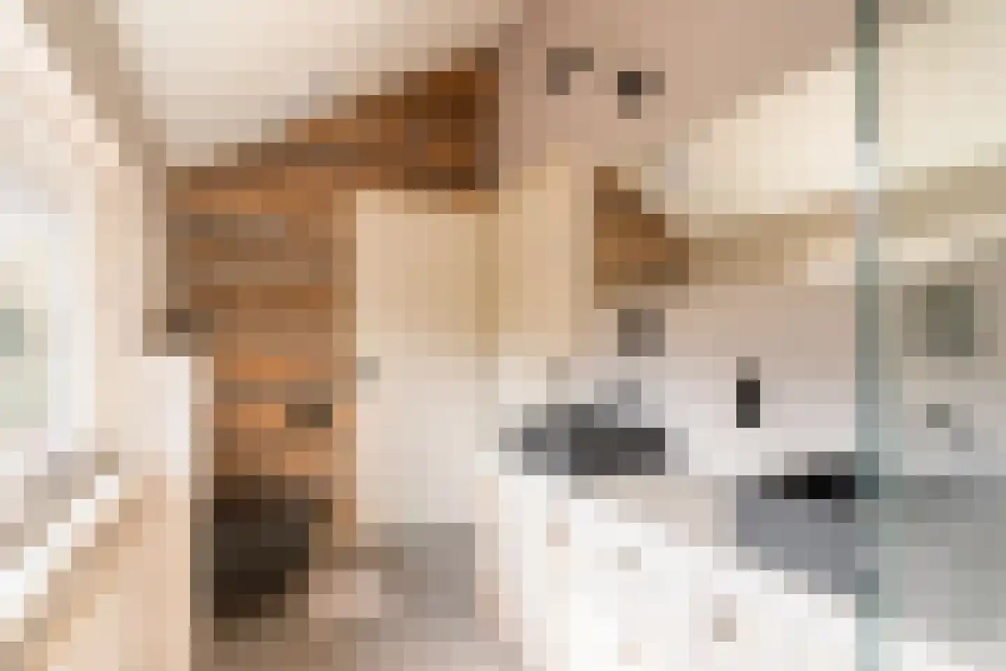 Kabeljauwallee 2 Doorwerth thumbnail 44