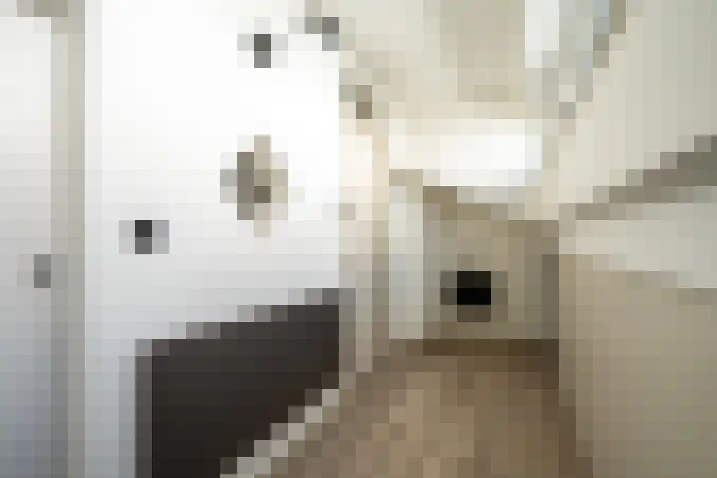 Kabeljauwallee 2 Doorwerth thumbnail 46