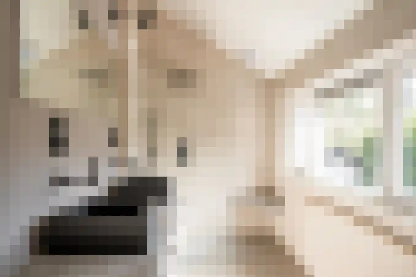Kabeljauwallee 2 Doorwerth thumbnail 5