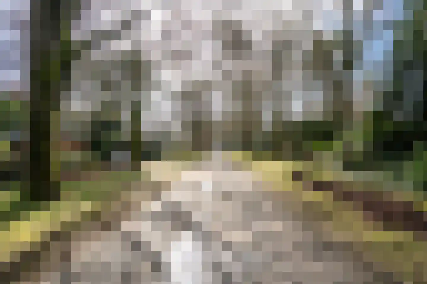 Kabeljauwallee 2 Doorwerth thumbnail 6