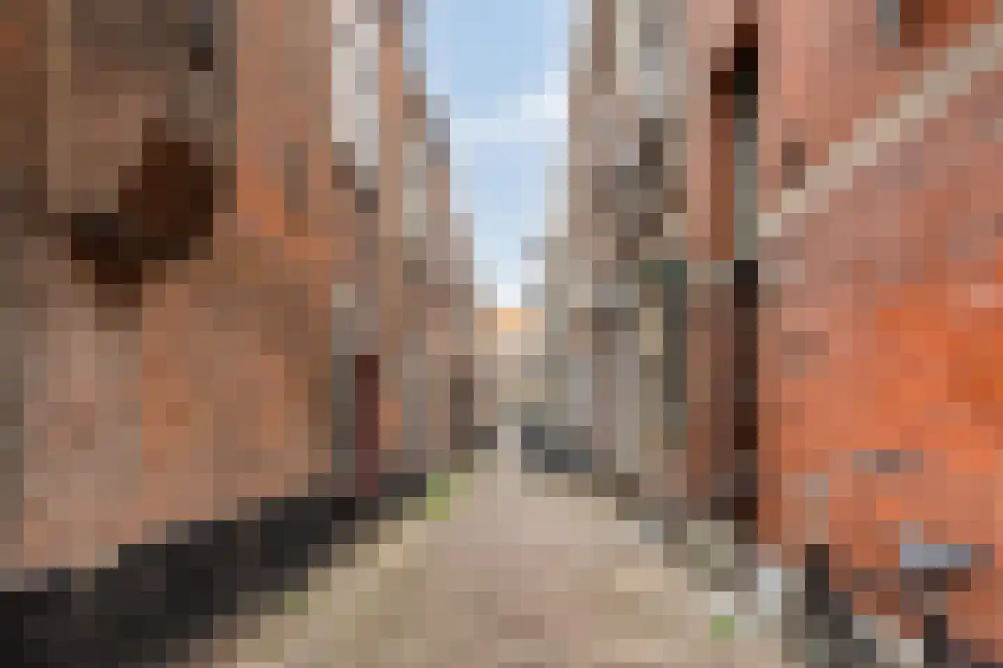 Kabeljauwsteeg 2 C Leiden thumbnail 11