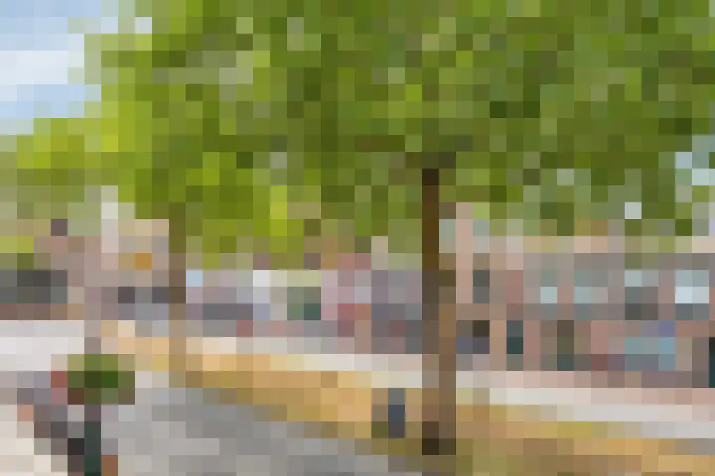 Kabeljauwsteeg 2 D Leiden thumbnail 10