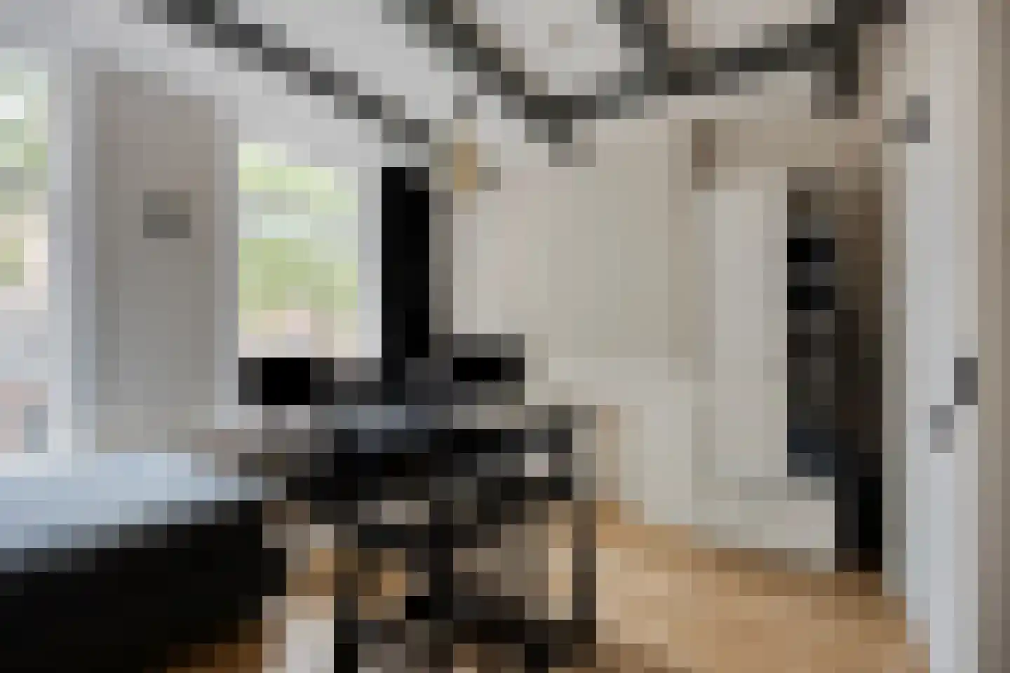 Kabeljauwsteeg 2 D Leiden thumbnail 4