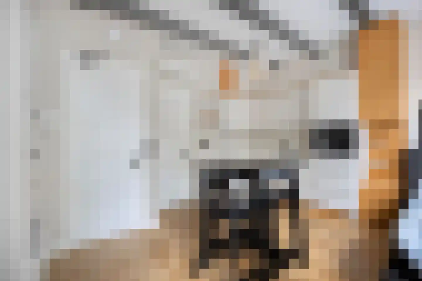 Kabeljauwsteeg 2 D Leiden thumbnail 5