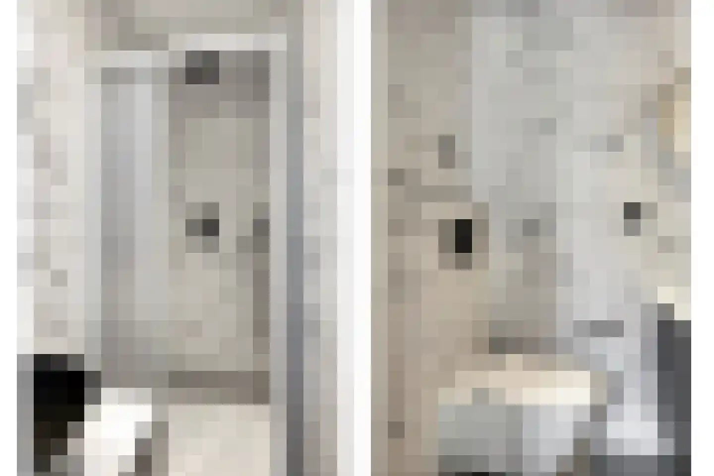 Kabeljauwsteeg 2 D Leiden thumbnail 9