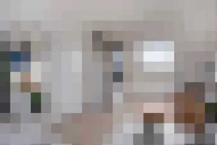 Kabelslag 13 Oudewater thumbnail 24