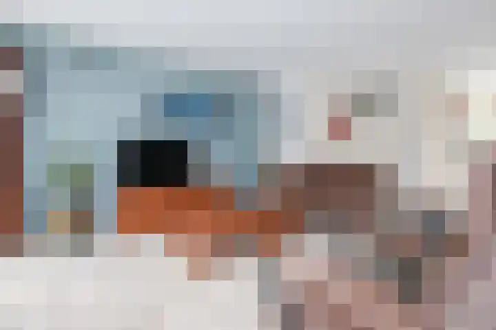 Kabof 131 Hoogland thumbnail 11