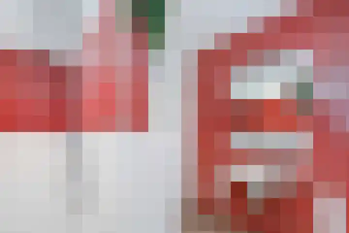 Kabof 131 Hoogland thumbnail 17
