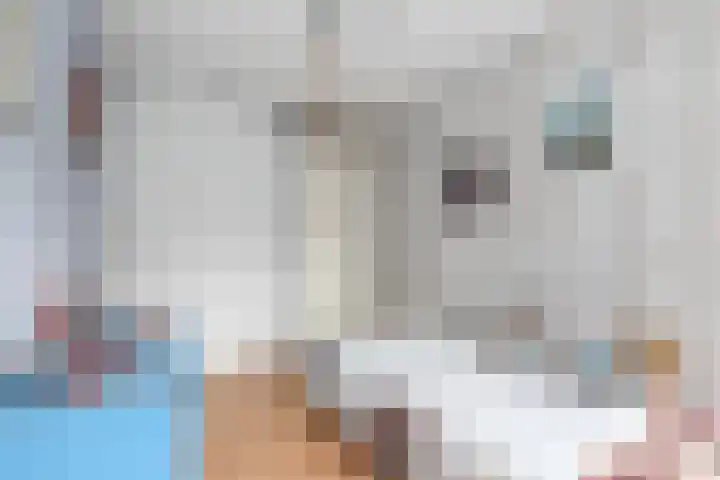 Kabof 131 Hoogland thumbnail 30