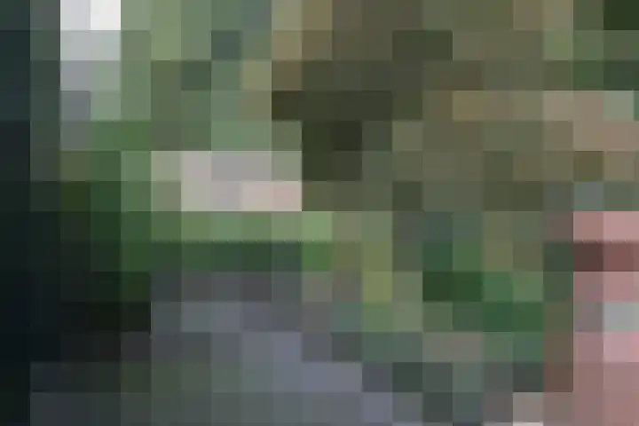Kabof 131 Hoogland thumbnail 36