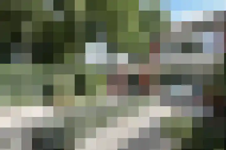 Kabof 131 Hoogland thumbnail 37