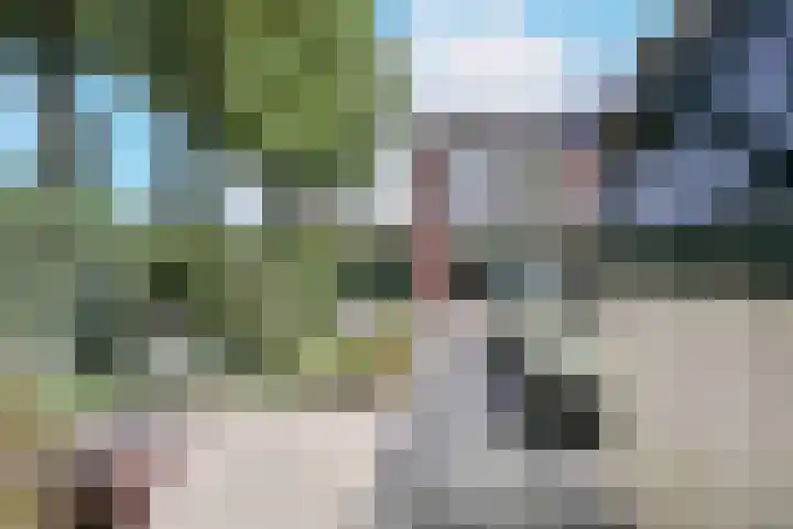 Kabof 131 Hoogland thumbnail 38