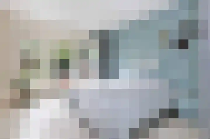Kabof 131 Hoogland thumbnail 4