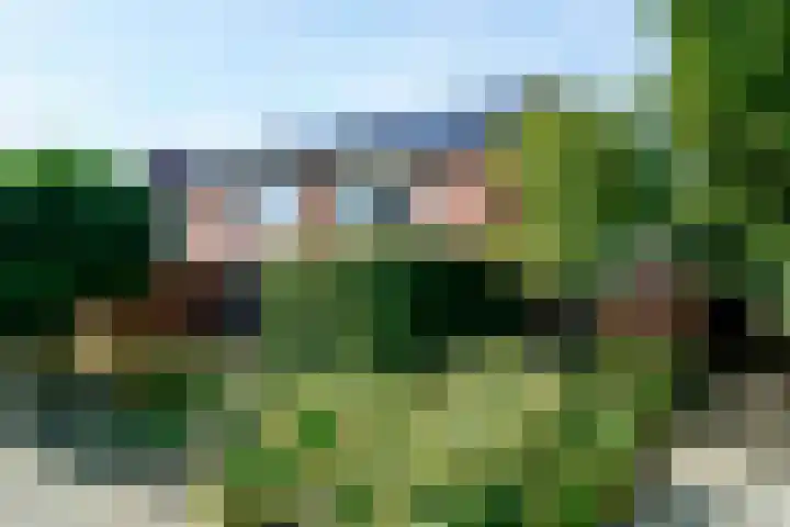 Kabof 131 Hoogland thumbnail 43