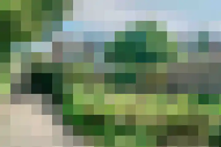 Kabof 131 Hoogland thumbnail 45