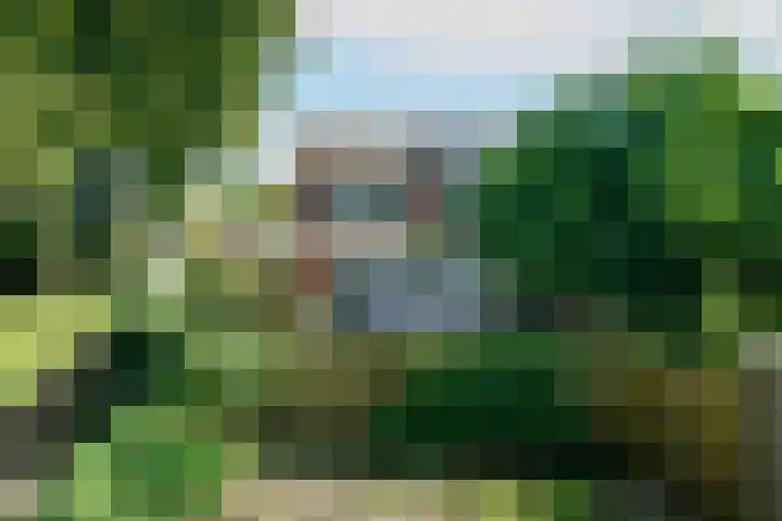 Kabof 131 Hoogland thumbnail 46