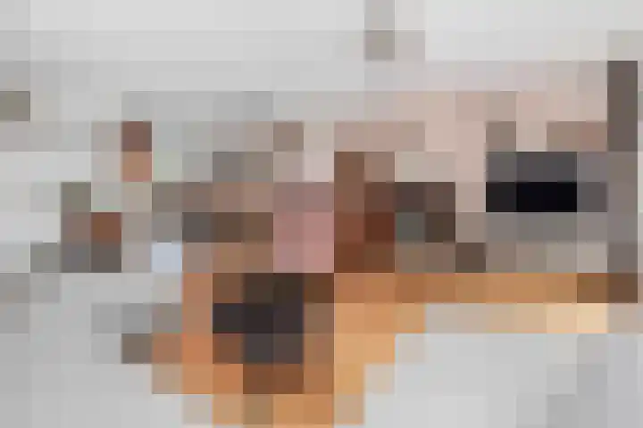 Kabof 69 Hoogland thumbnail 16