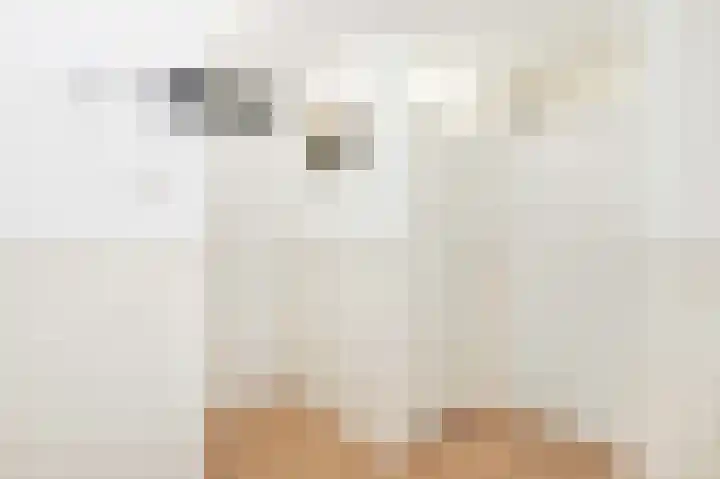 Kabof 69 Hoogland thumbnail 19