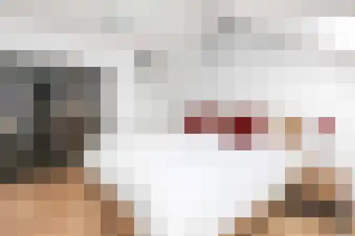 Kabof 69 Hoogland thumbnail 23