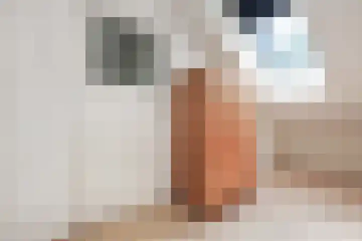 Kabof 69 Hoogland thumbnail 29