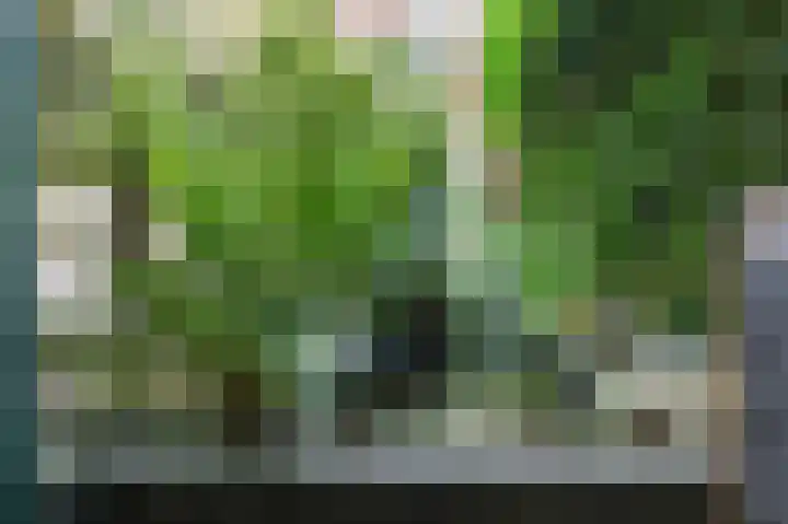 Kabof 69 Hoogland thumbnail 36