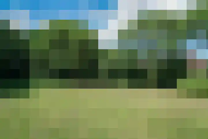 Kabof 69 Hoogland thumbnail 45