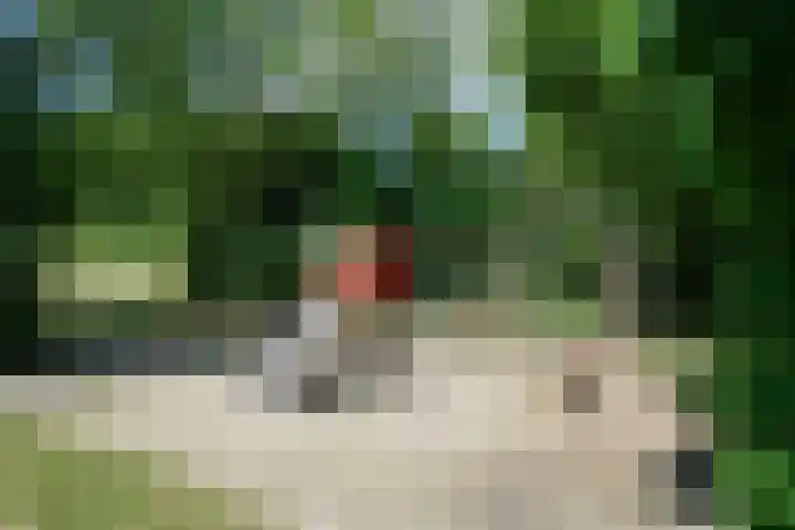 Kabof 69 Hoogland thumbnail 46