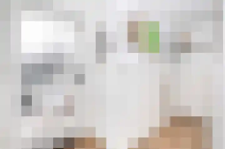 Kabof 69 Hoogland thumbnail 7