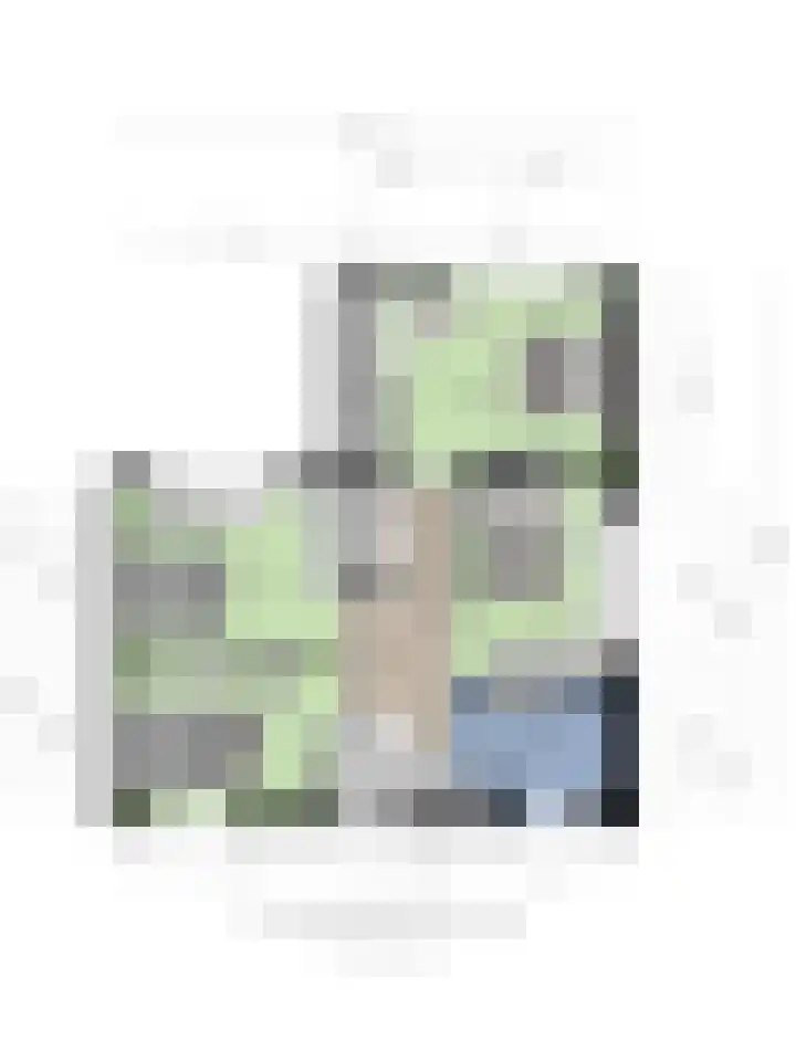 Kaboulstraat 2 IJsselstein thumbnail 38