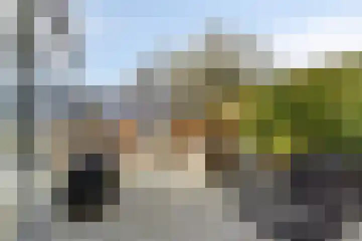 Kaboulstraat 3 IJsselstein thumbnail 4