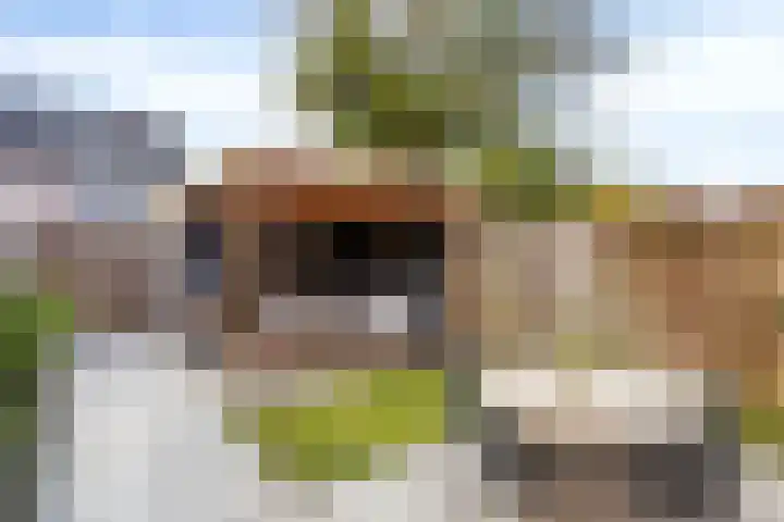 Kabouterberg 16 Veldhoven thumbnail 5
