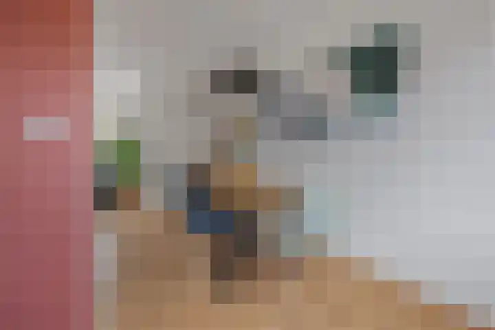Kabouterberg 7 Veldhoven thumbnail 15