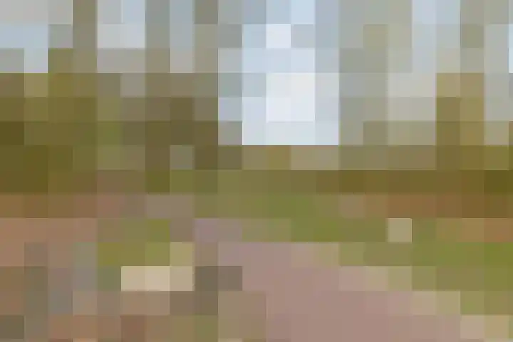 Kabouterberg 7 Veldhoven thumbnail 45