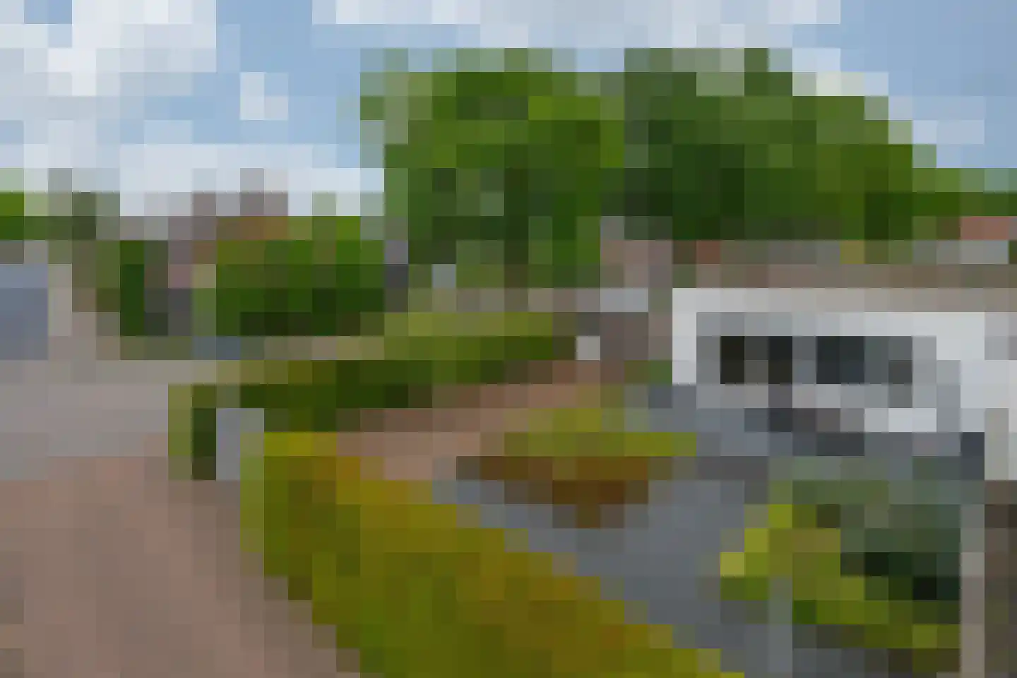 Kabroekstraat 12 America thumbnail 44