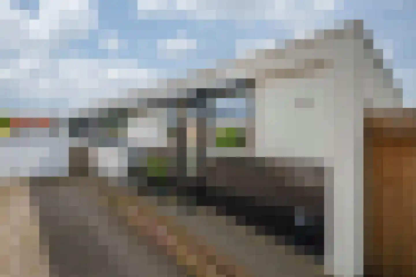 Kabroekstraat 12 America thumbnail 7