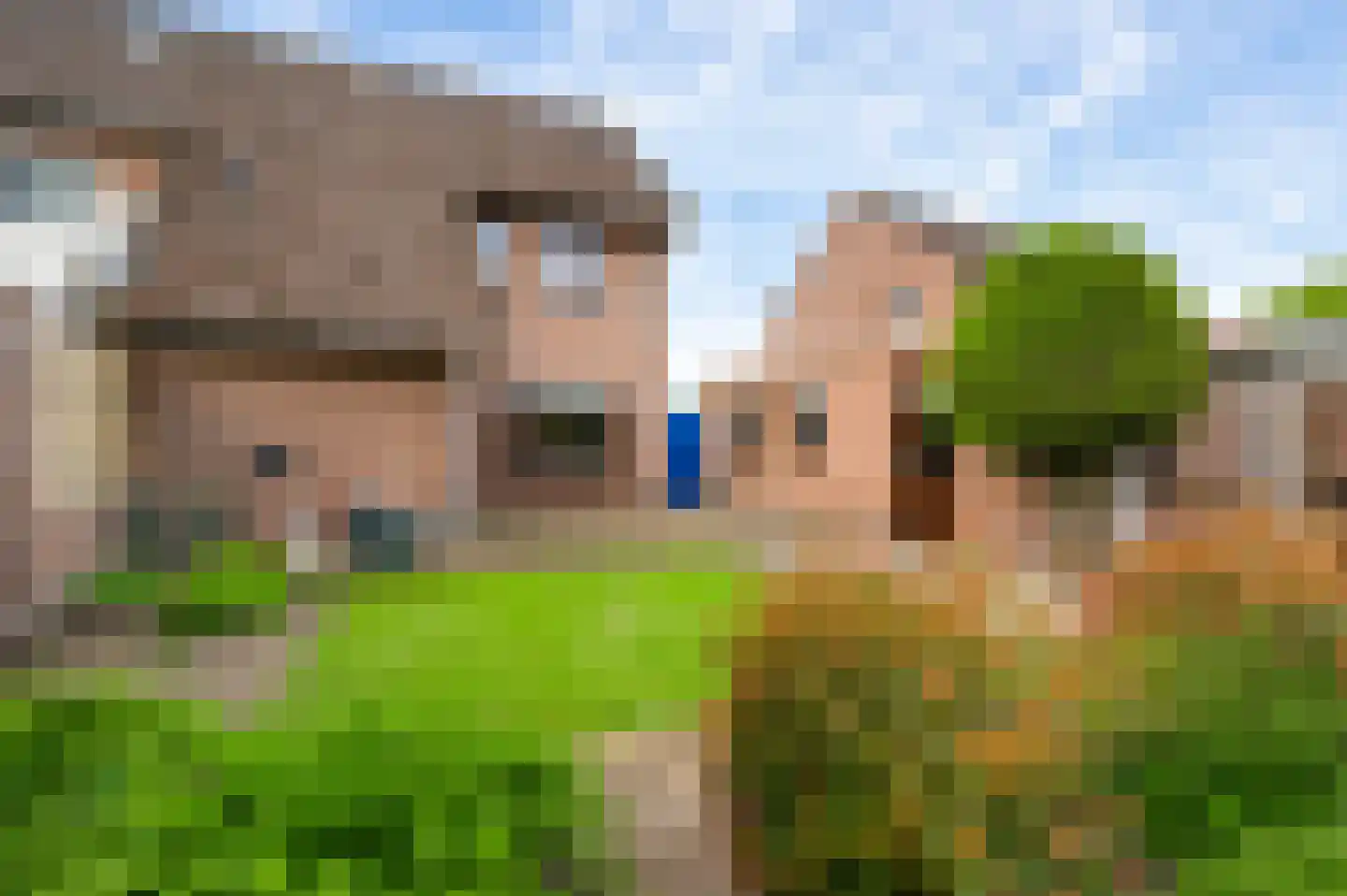 Kabroekstraat 26 America thumbnail 5
