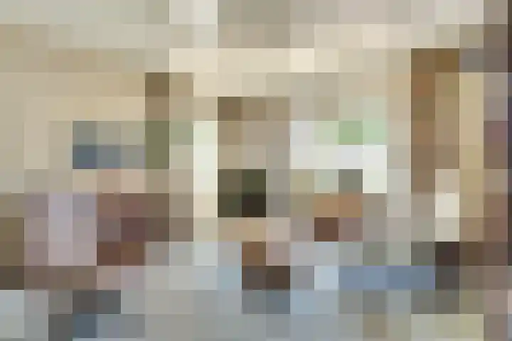Kadal 10 St.-Jacobiparochie thumbnail 11